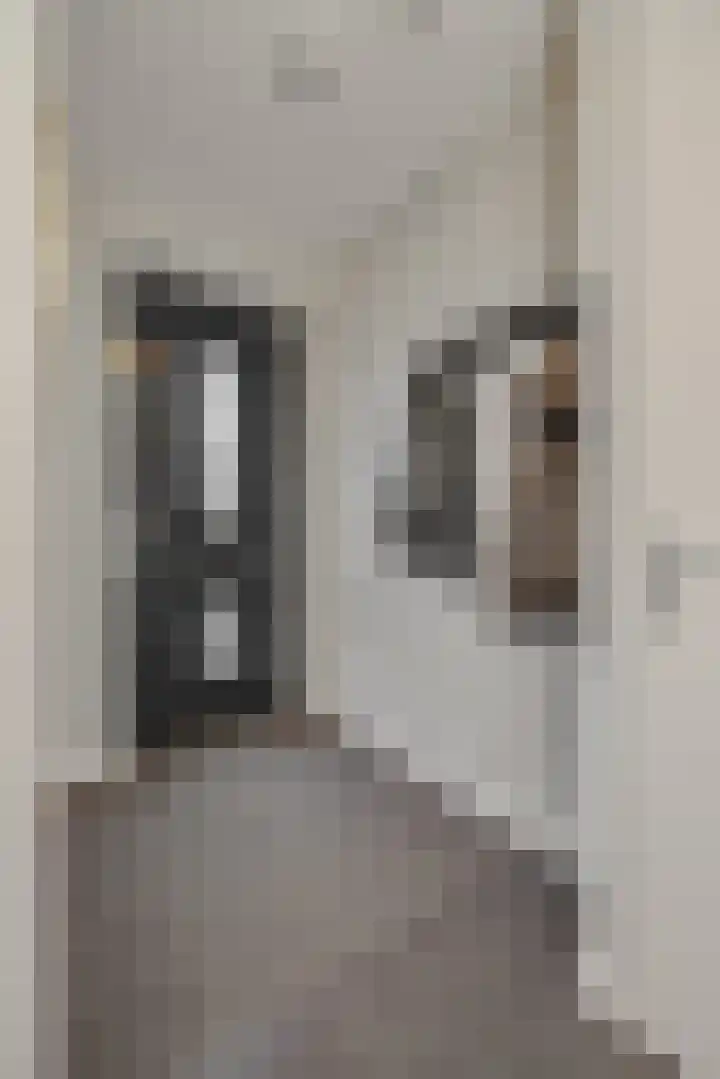 Engelbeemd 11 Herpen thumbnail 16