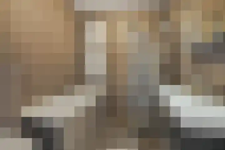 Engelbeemd 11 Herpen thumbnail 24