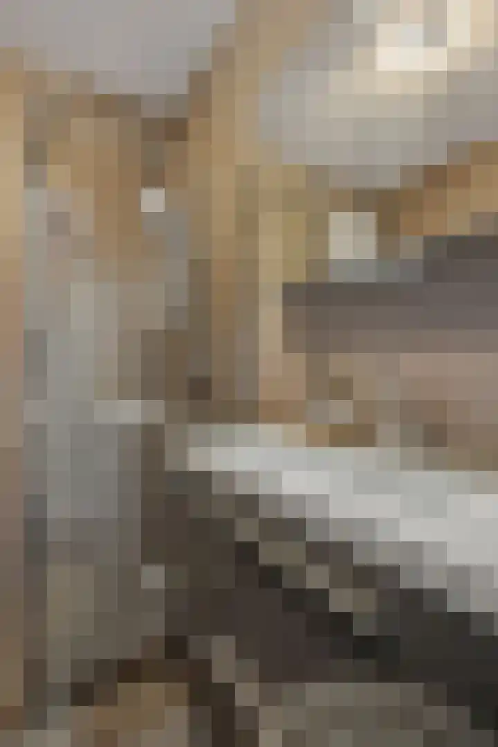 Engelbeemd 11 Herpen thumbnail 25