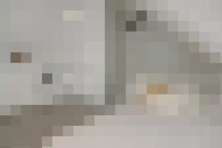 Engelbeemd 11 Herpen thumbnail 30