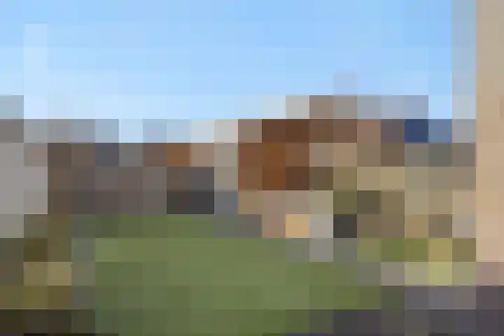 Engelbeemd 11 Herpen thumbnail 33