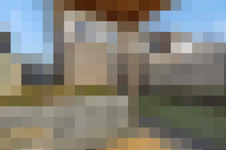 Engelbeemd 11 Herpen thumbnail 36