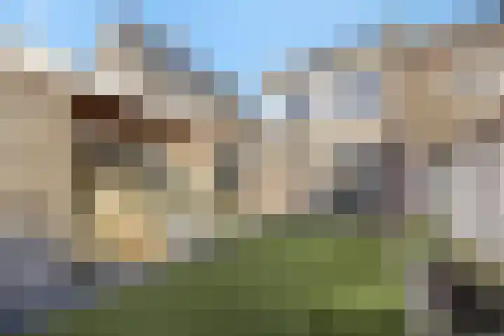 Engelbeemd 11 Herpen thumbnail 37