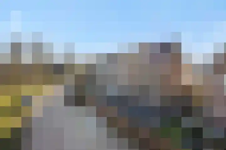Engelbeemd 11 Herpen thumbnail 44