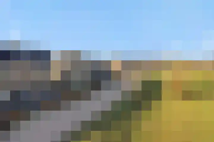 Engelbeemd 11 Herpen thumbnail 45