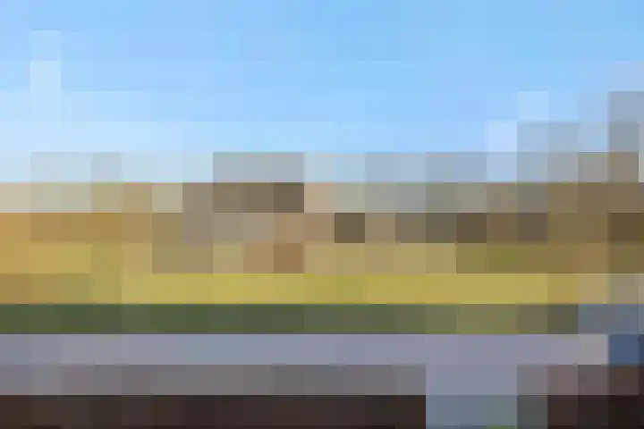 Engelbeemd 11 Herpen thumbnail 47