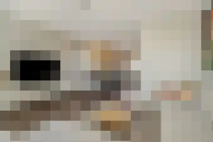 Engelbeemd 11 Herpen thumbnail 5