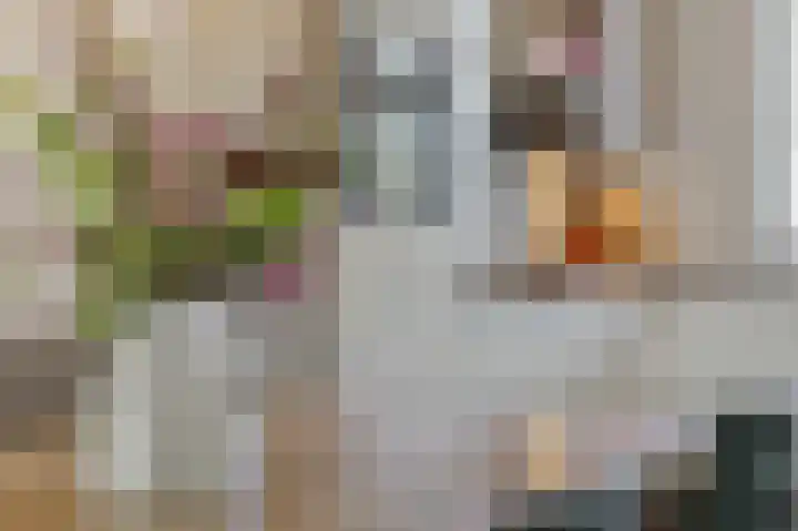 Engelbeemd 11 Herpen thumbnail 8