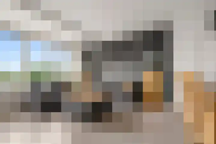 Engelenburg 131 Haarlem foto 3