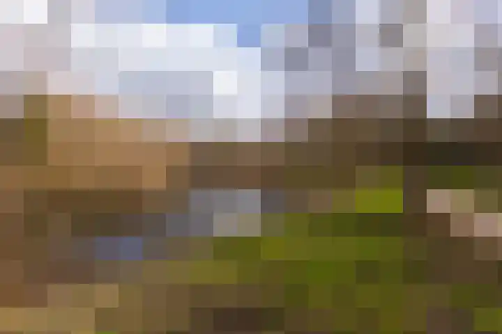 Engelenburg 311 Haarlem thumbnail 22