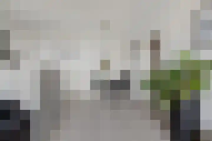 Engelenburg 395 Haarlem thumbnail 5