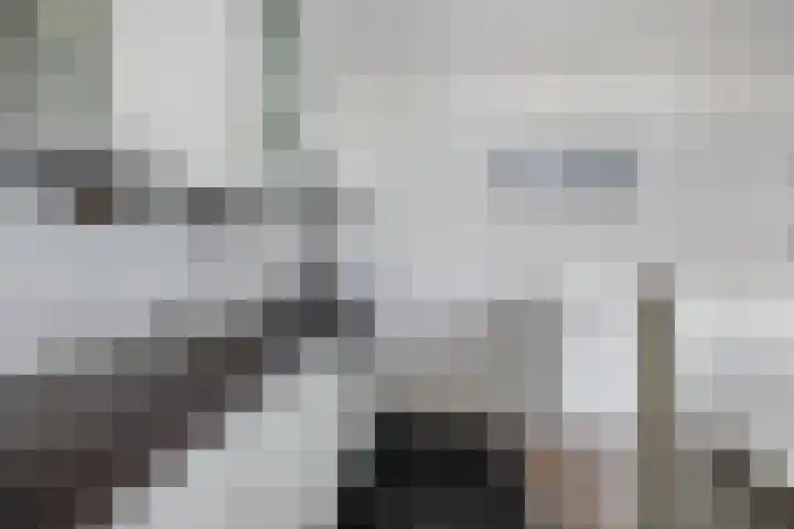 Engelenburg 395 Haarlem thumbnail 8