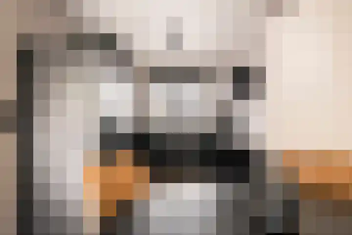 Engelenburg 46 Haarlem thumbnail 11