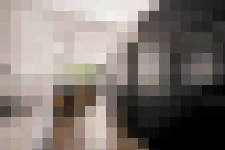 Engelenburg 46 Haarlem thumbnail 14