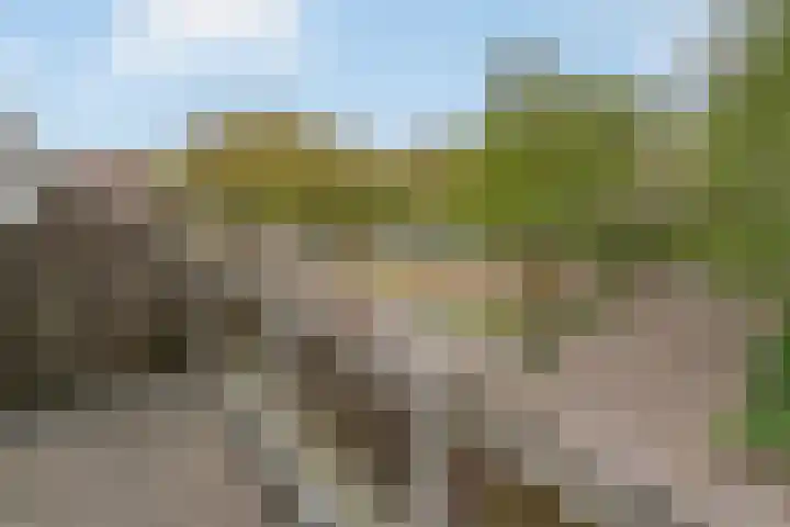Engelenburg 46 Haarlem thumbnail 23