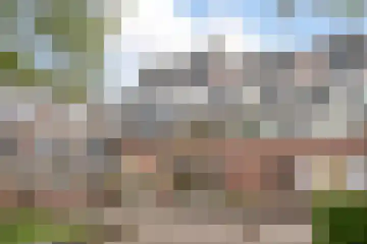 Engelenburg 46 Haarlem thumbnail 29