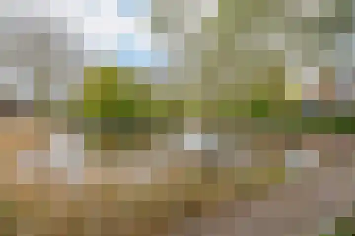 Engelenburg 46 Haarlem thumbnail 31