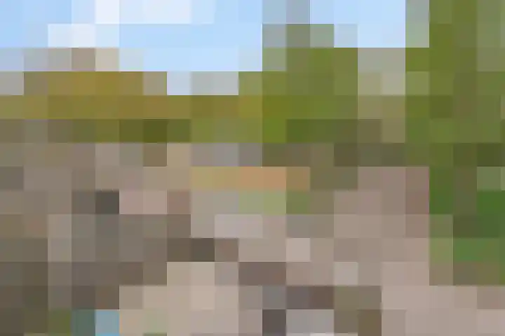 Engelenburg 46 Haarlem thumbnail 32