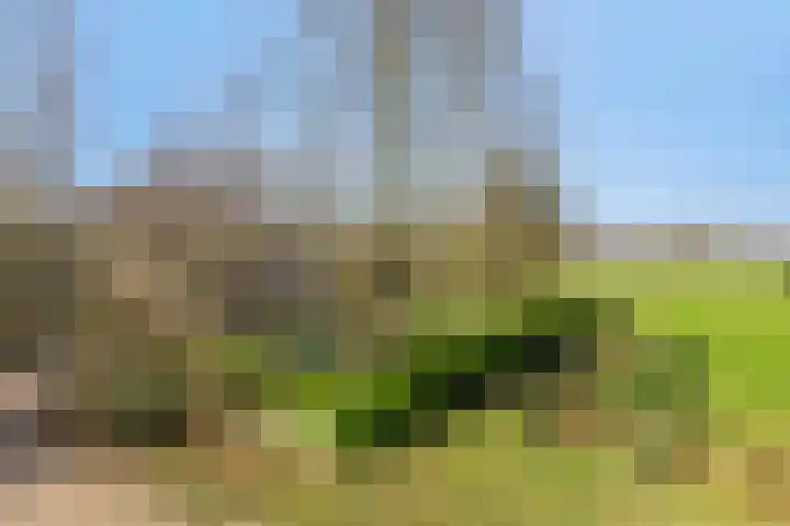 Engelenburg 46 Haarlem thumbnail 34