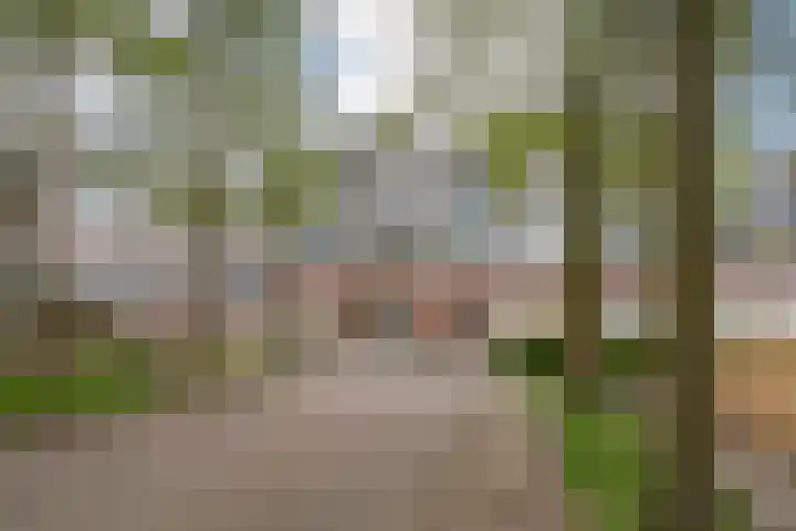 Engelenburg 46 Haarlem thumbnail 39