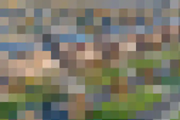 Engelenburg 46 Haarlem thumbnail 4