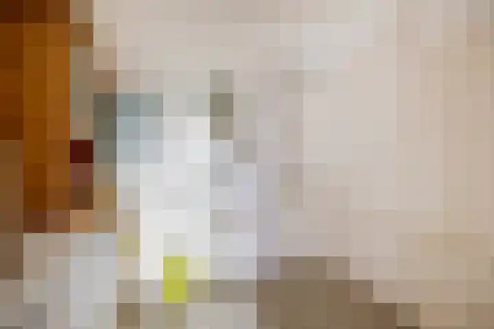 Engelenburg 489 Haarlem thumbnail 14