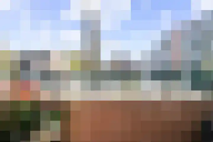 Engelenburg 5 Haarlem thumbnail 8