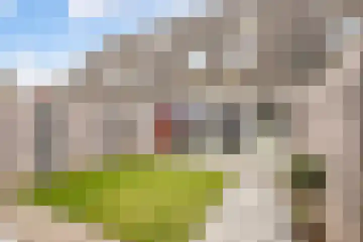 Engelenburgallee 6 Duiven thumbnail 22