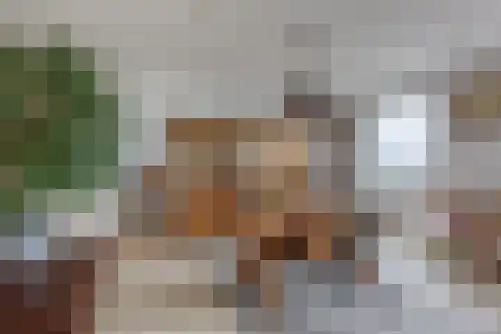 Engelendaal 100 Leiderdorp thumbnail 13