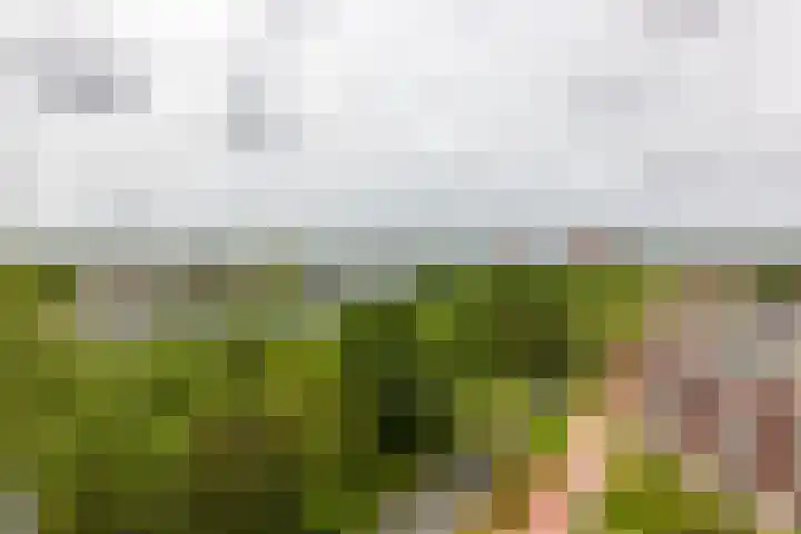 Engelendaal 100 Leiderdorp thumbnail 19