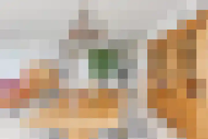 Engelendaal 100 Leiderdorp thumbnail 25
