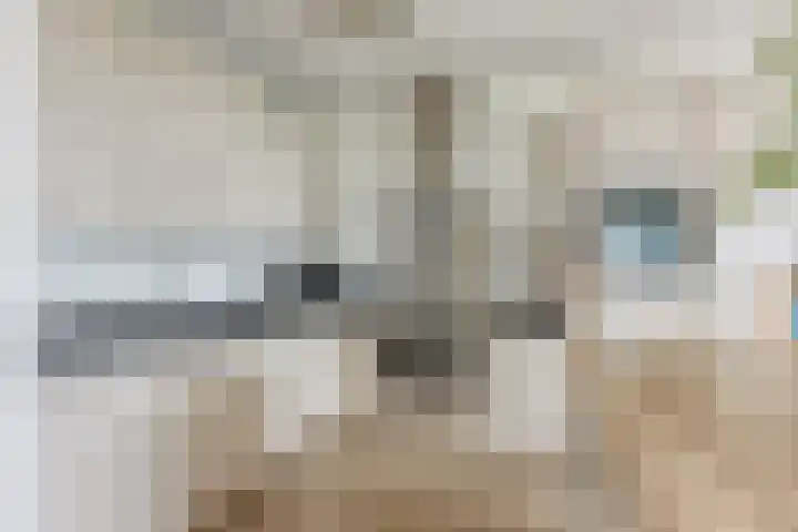 Engelendaal 100 Leiderdorp thumbnail 26