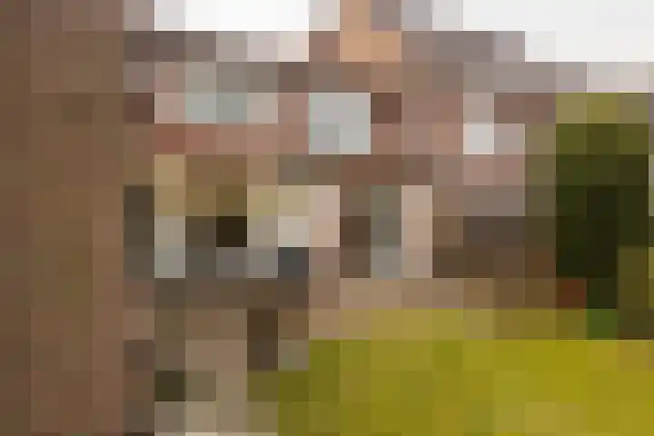 Engelenkampstraat 7 Sittard thumbnail 25