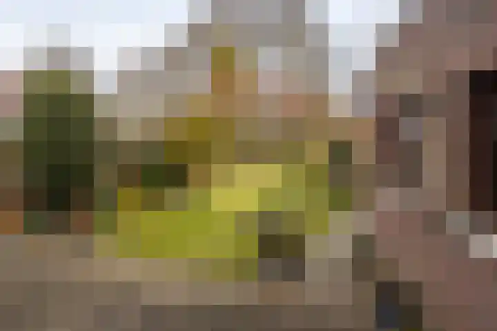 Engelenkampstraat 7 Sittard thumbnail 28