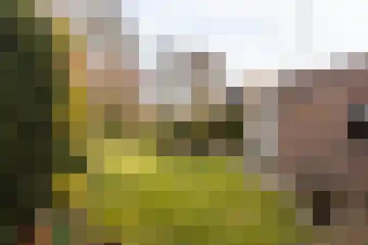 Engelenkampstraat 7 Sittard thumbnail 29