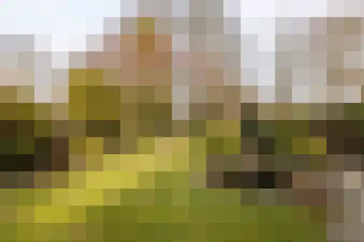 Engelenkampstraat 7 Sittard thumbnail 30