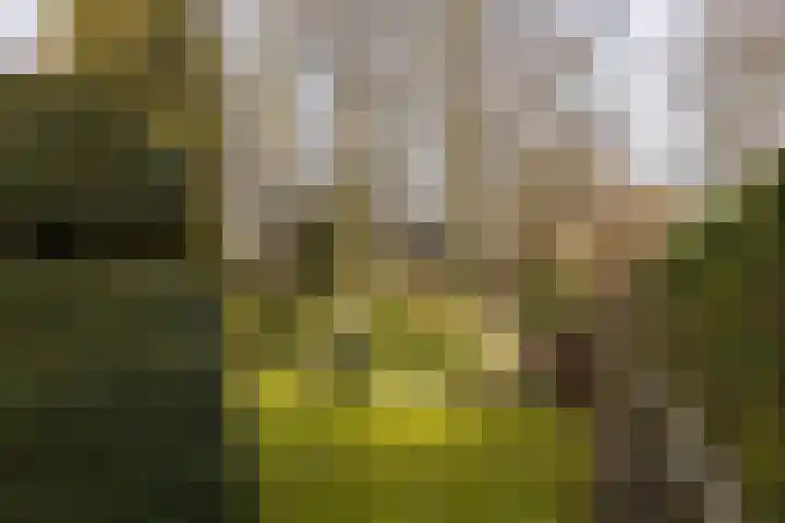 Engelenkampstraat 7 Sittard thumbnail 31