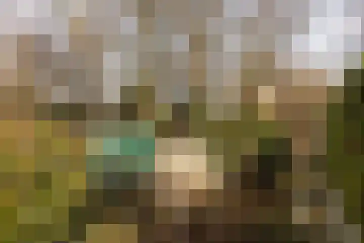 Engelenkampstraat 7 Sittard thumbnail 32
