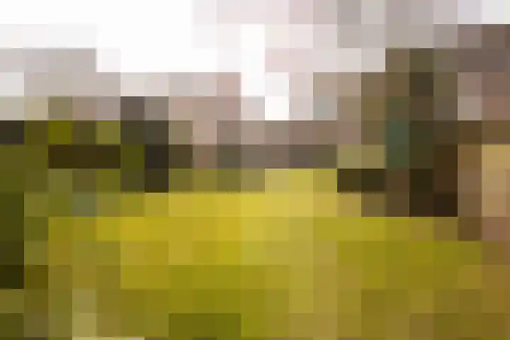 Engelenkampstraat 7 Sittard thumbnail 34