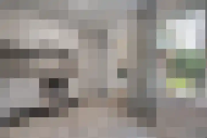Engelgaarde 15 Meppel thumbnail 16