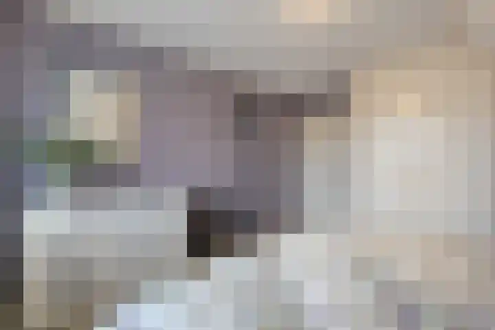 Engelgaarde 15 Meppel thumbnail 25