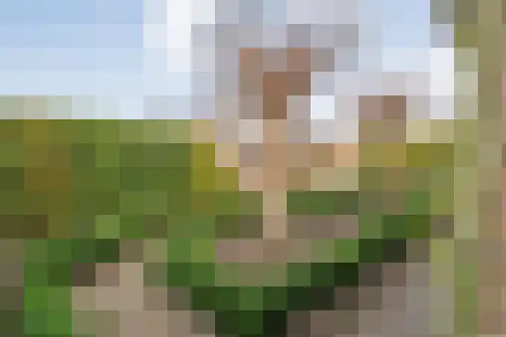 Engelgaarde 15 Meppel thumbnail 46