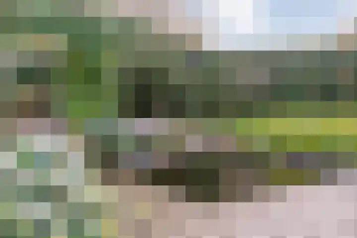 Engelgaarde 15 Meppel thumbnail 49