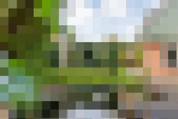 Engelgaarde 15 Meppel thumbnail 50