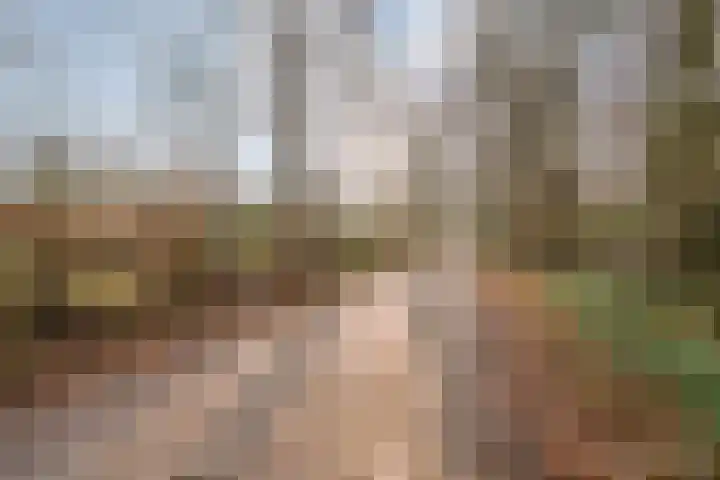 Engelgaarde 15 Meppel thumbnail 53