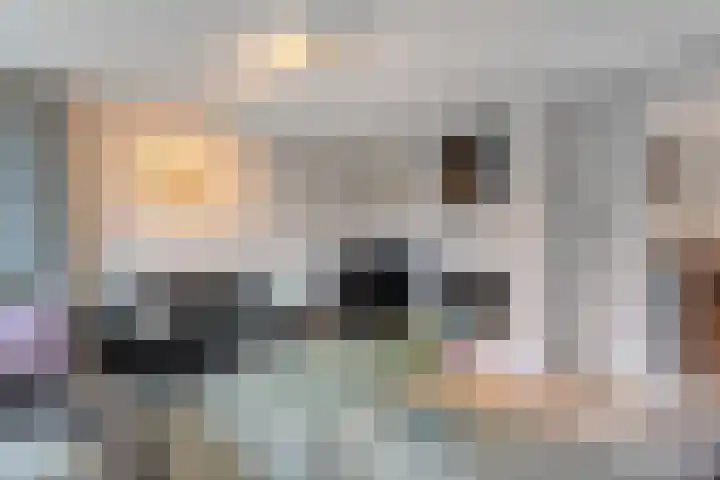 Engelgaarde 15 Meppel thumbnail 8
