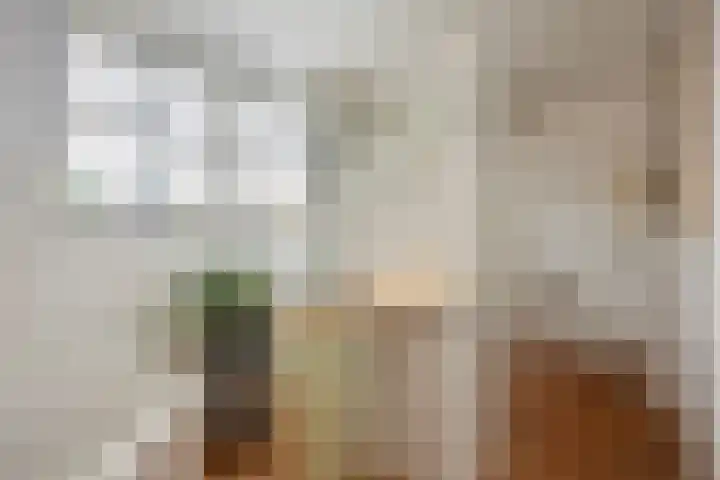 Engelmanstraat 25 b Neer thumbnail 32