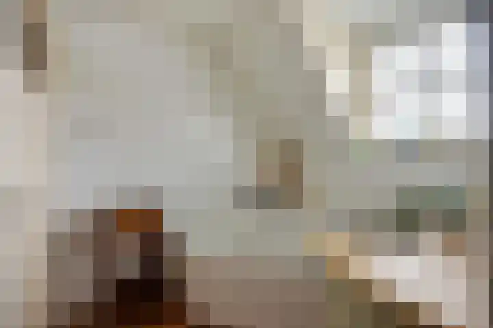 Engelmanstraat 25 b Neer thumbnail 33