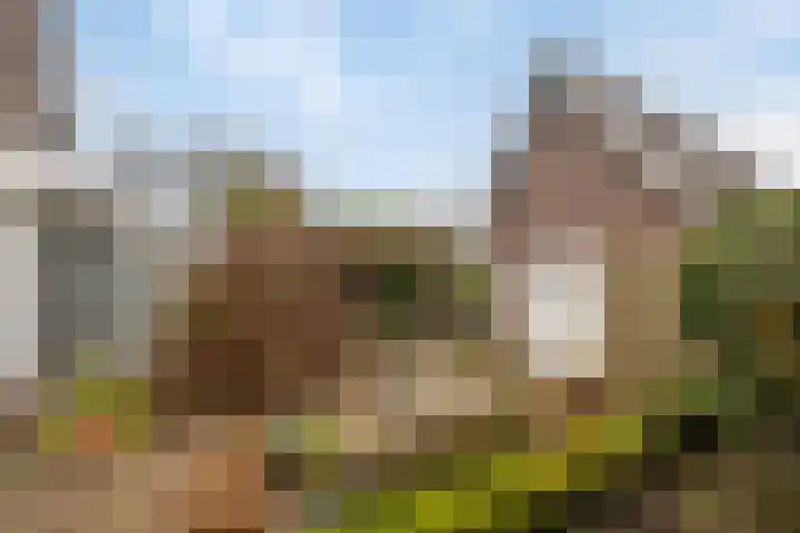 Engelmanstraat 25 b Neer thumbnail 38