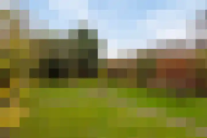 Engelmanstraat 25 b Neer thumbnail 48